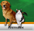 1000 annonces Canada categorie Animaux