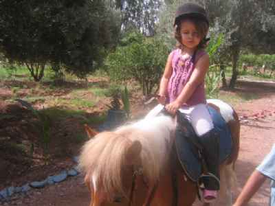 classe poney de  5à 15ans