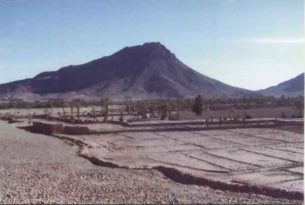 Terrain à vendre de 4816m² à Zagora