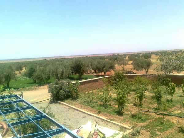 Terrain à vendre de  52ha50ca,Route Demnat