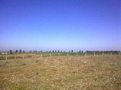 Vente terrains 2H ou 4H région Bouznika 