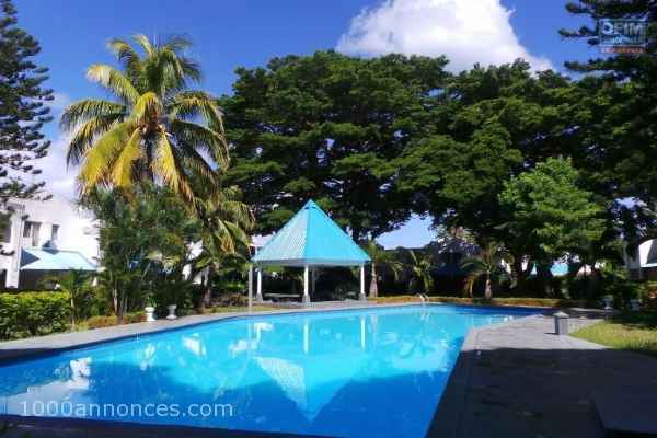 Bel appartement à flic en flac 