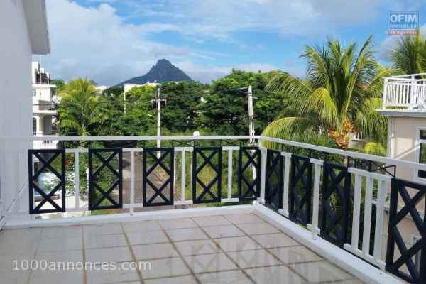 A louer long terme, Flic en Flac, 