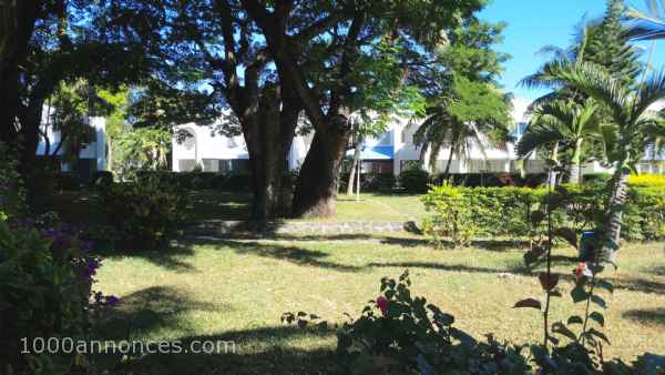 Bel appartement à flic en flac 