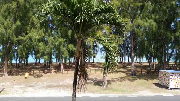 Face à la mer, appartement moderne à louer 