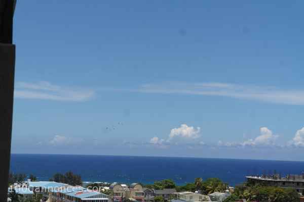 Flic en Flac à louer magnifique appartement 