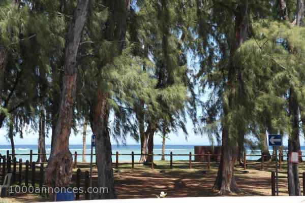 Flic en Flac à louer appartement 3 chambres 