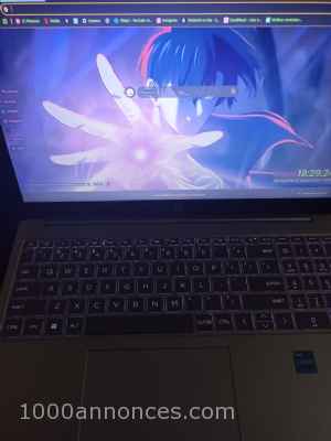 Ordinateurs portables (Laptop)