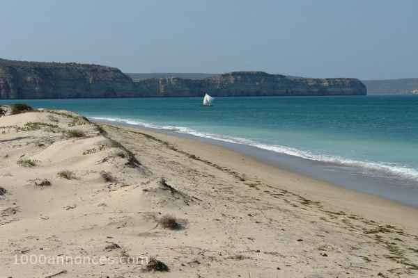Terrain, Ferme