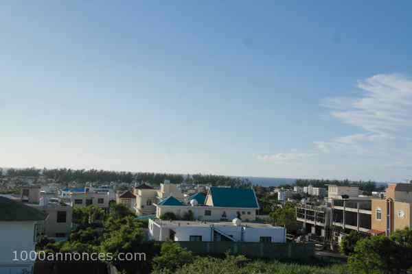 Services immobilier