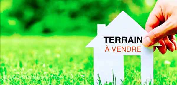 Terrain, Ferme