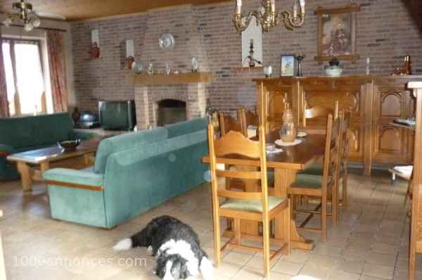 1000 annonces Belgique