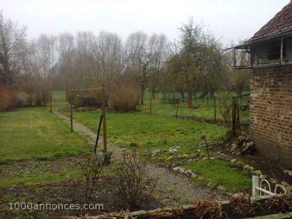 1000 annonces Belgique