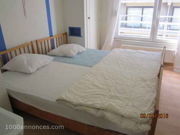 1000 annonces Belgique