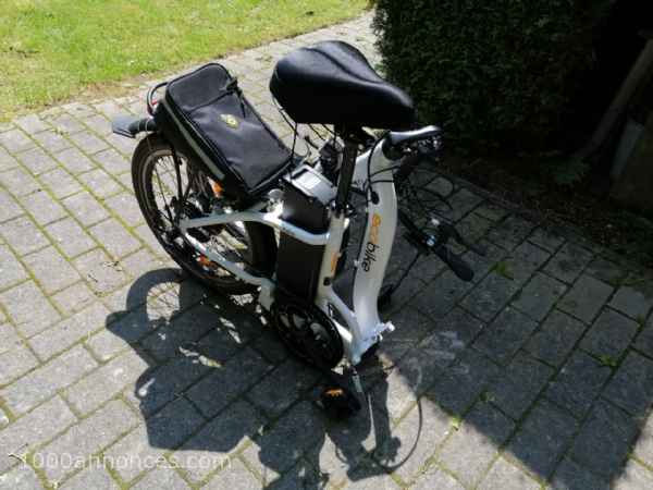 1000 annonces Belgique