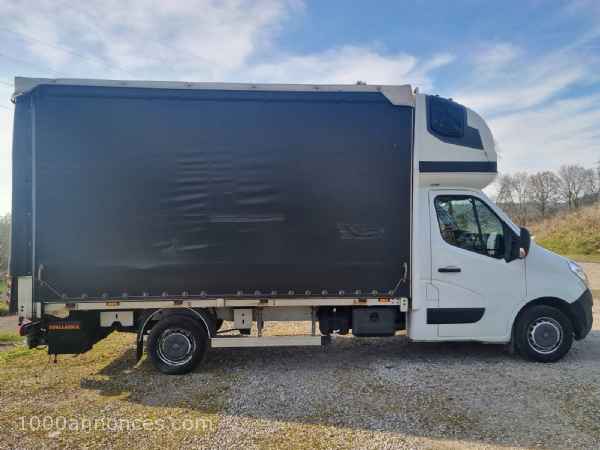 1000 annonces Belgique