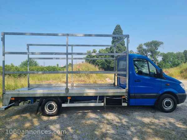 1000 annonces Belgique