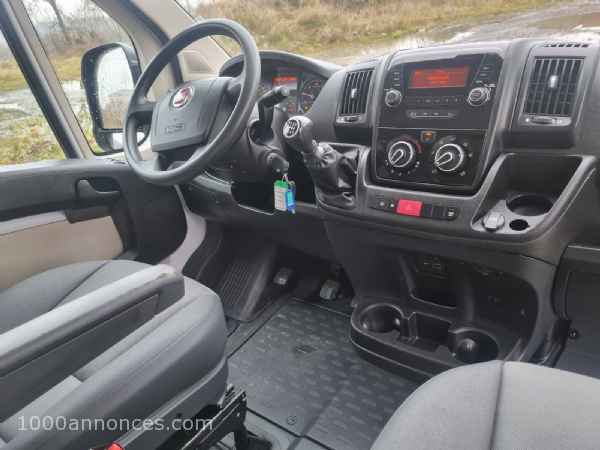 1000 annonces Belgique