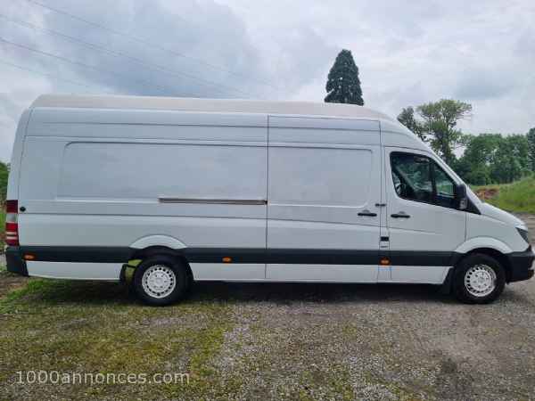 1000 annonces Belgique