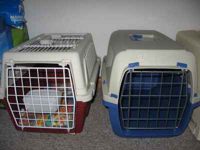 Cages à chat